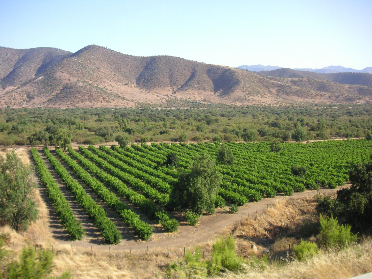 Chilean farmland paradise