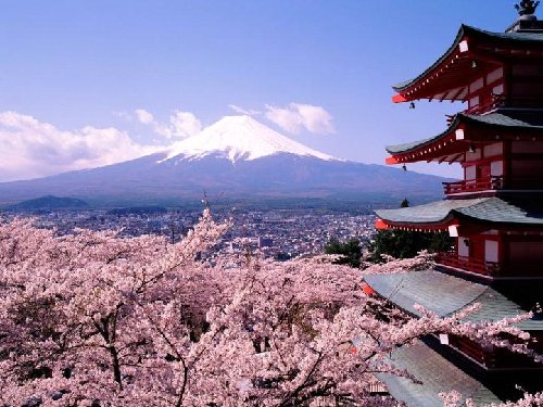 fujiyama-sakura-tokyo-japan