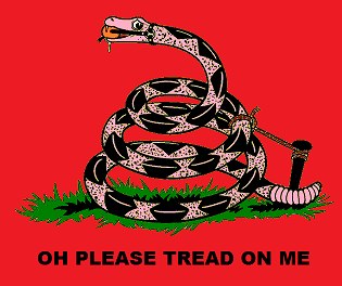 социалисты флаг змея юмор прикол