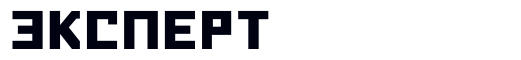 big_logo