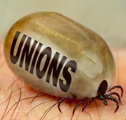 профсоюзы кровопийцы клоп ладонь рука юмор насекомое