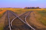 Folk-in-train-tracks