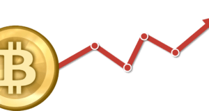 Спекулятивное принятие биткойна и теория цен