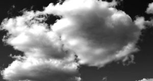 Монеты репутации REP от AUGUR