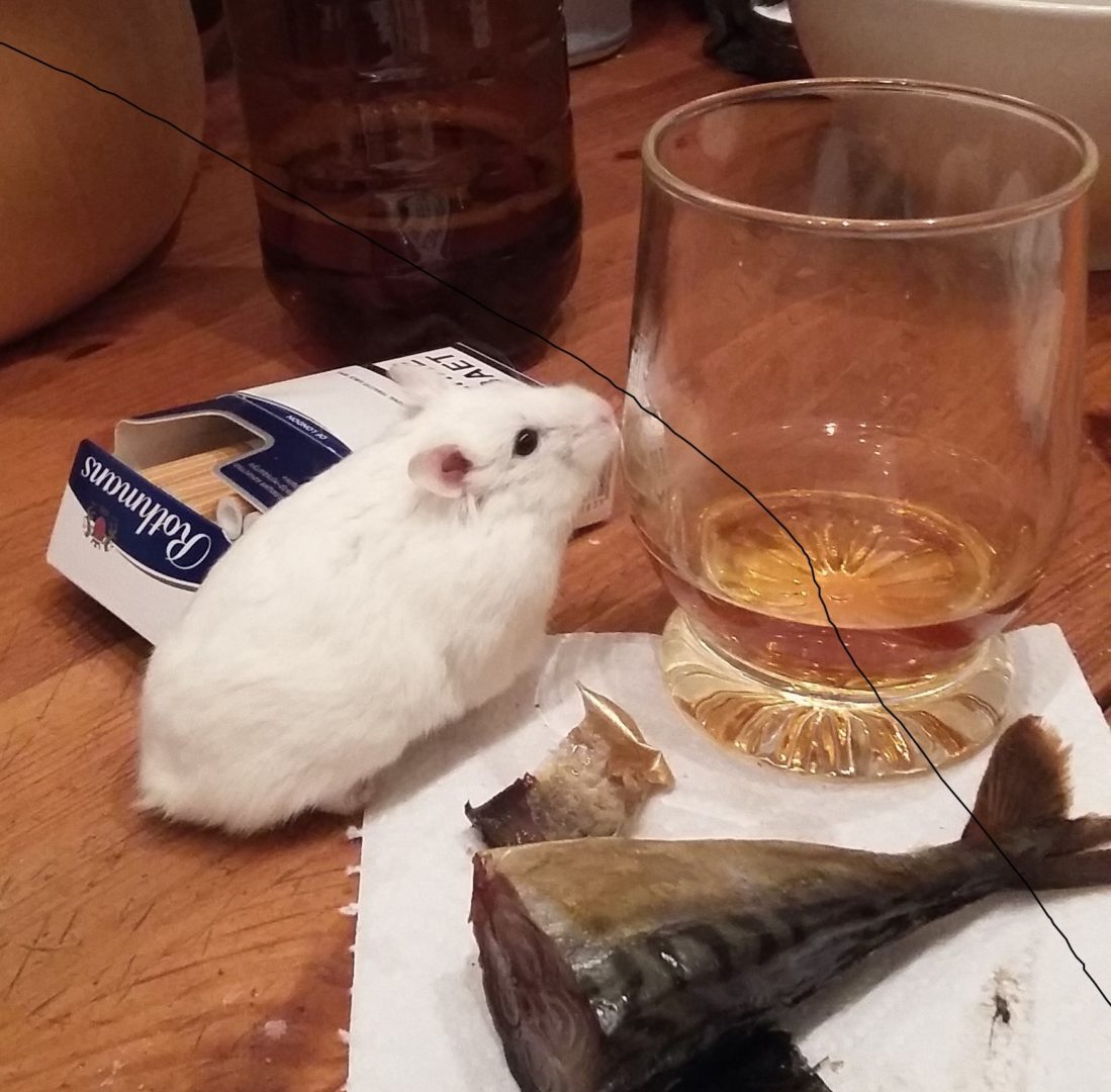 Записки хомяка: Блокчейн и государство (часть 2)