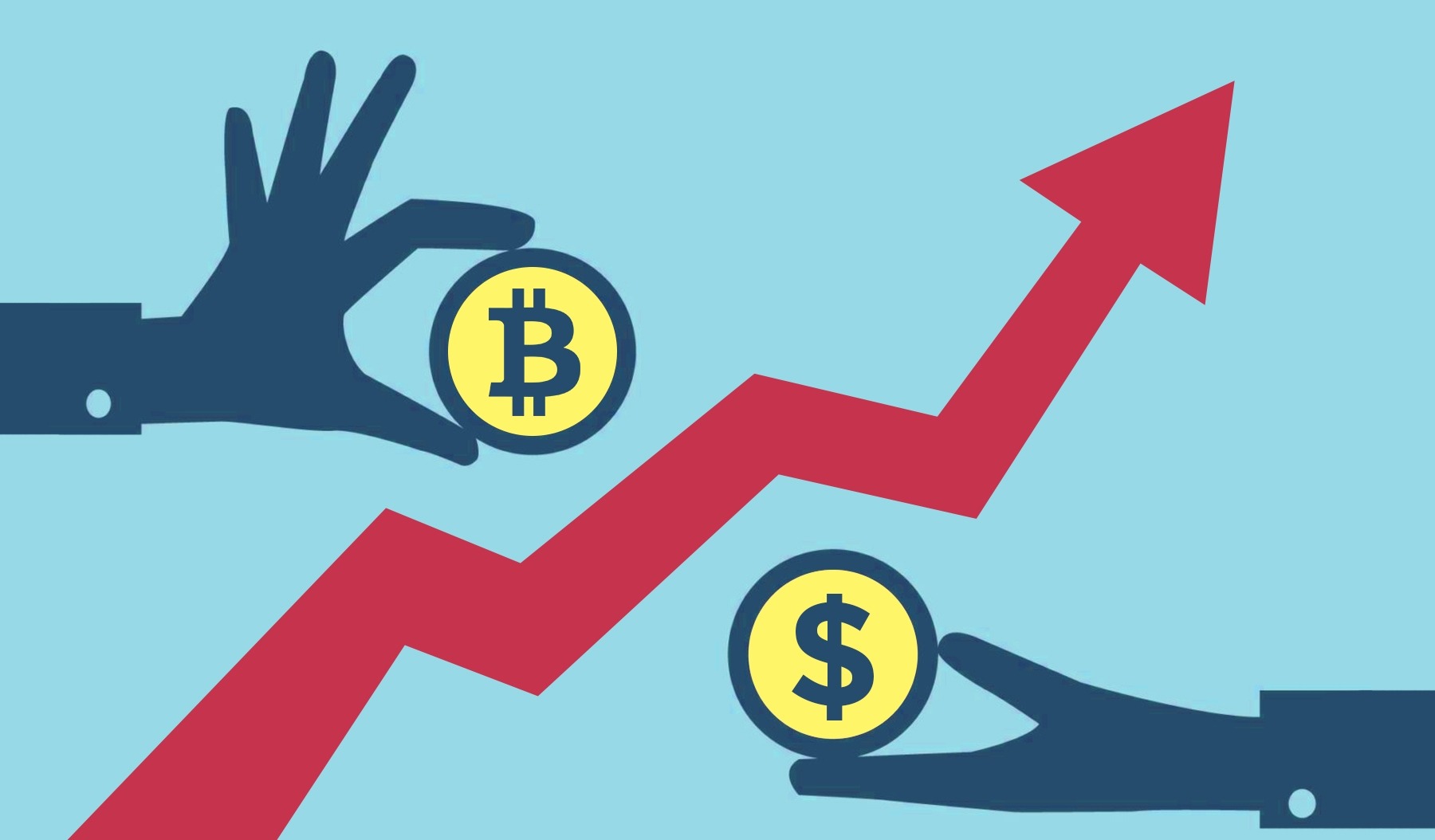 Новозеландская биржа BitPrime продемонстрировала беспрецедентный рост менее чем за 3 месяца