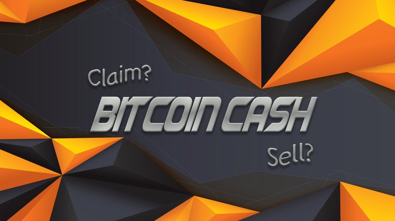Руководство для новичка: получение (и продажа) токенов «Bitcoin Cash»