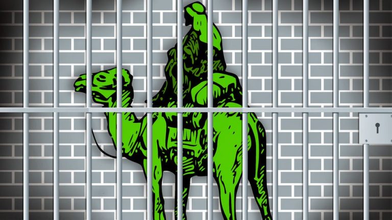 Агент Секретной Службы расследовавший дело Silk Road осужден вторично