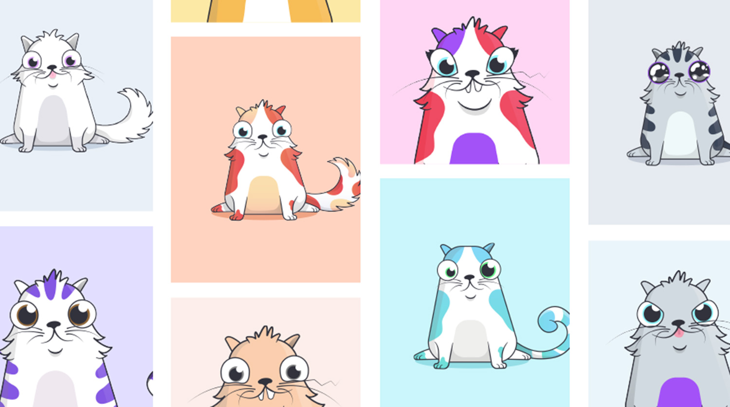 Криптокотики заключили брачный договор на блокчейне