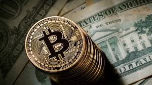 Известный эксперт рекомендует не покупать биткойн пока цена падает