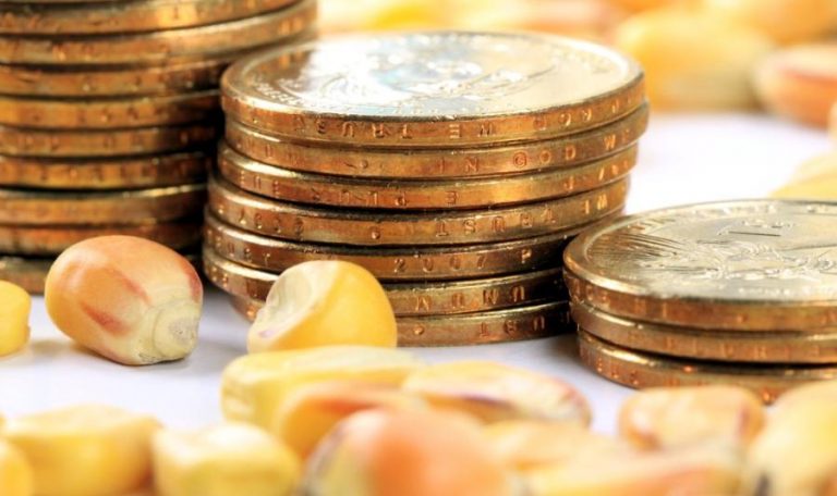 Экспоненциальный рост: число пользователей Биткойна достигнет 200 миллионов к 2024 году