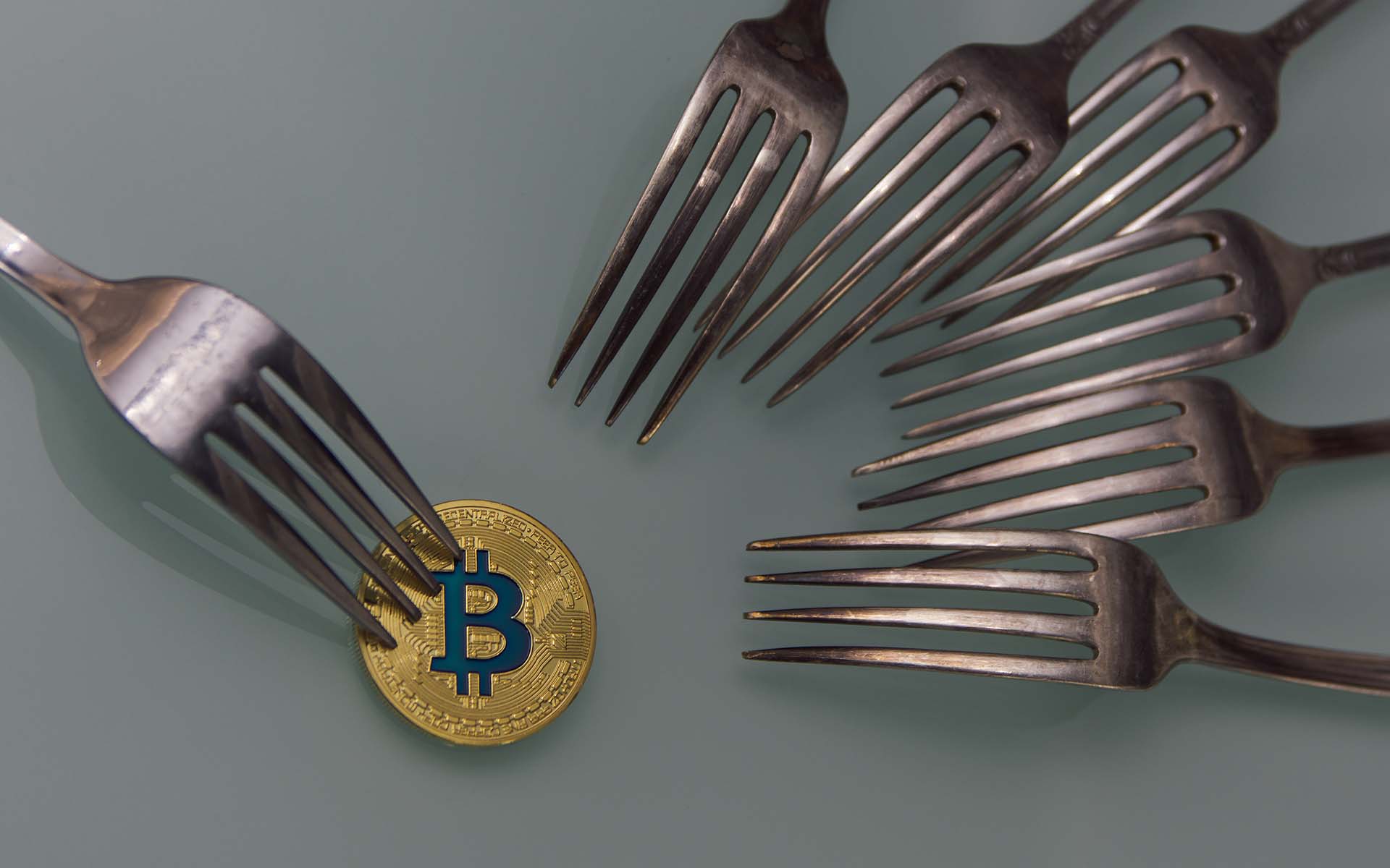 Торгуем против форка или почему читатели BitNovosti всегда будут в профите !