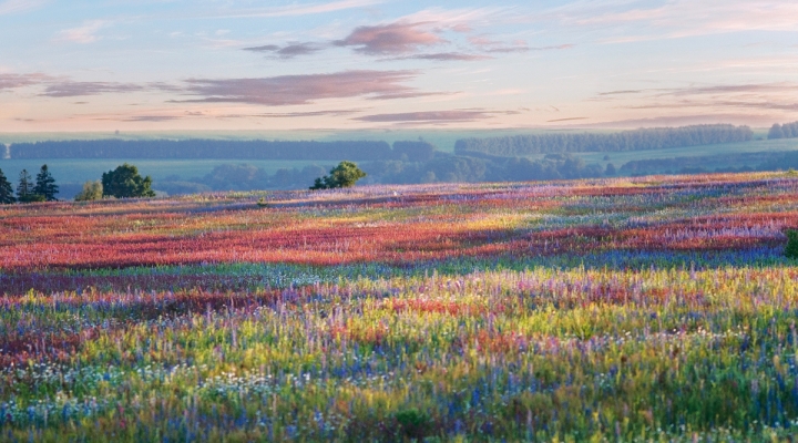 Глава Удмуртии предложил сделать республику «песочницей» для криптовалют