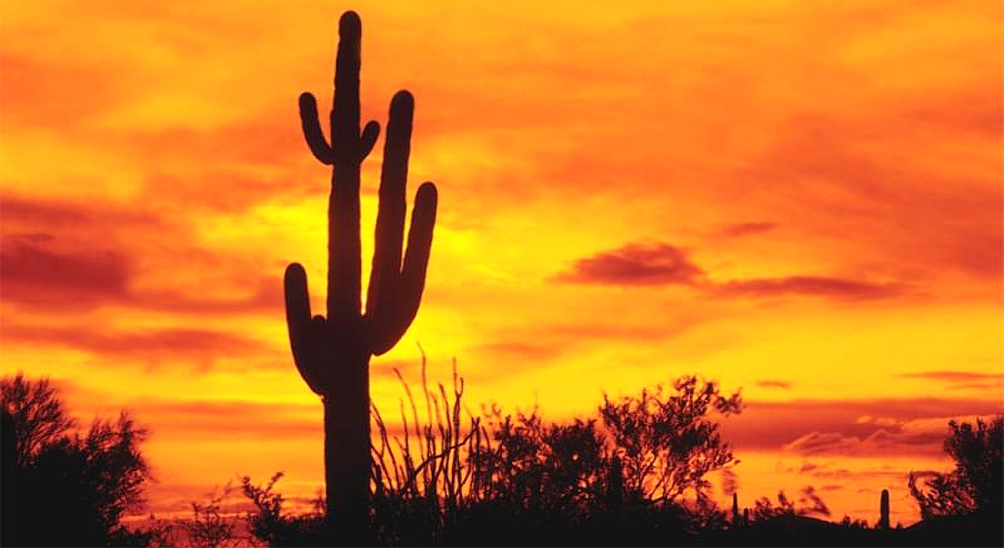 Мексиканское крипторегулирование ждет президентской подписи