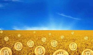 Украина готовится легализовать криптовалюты