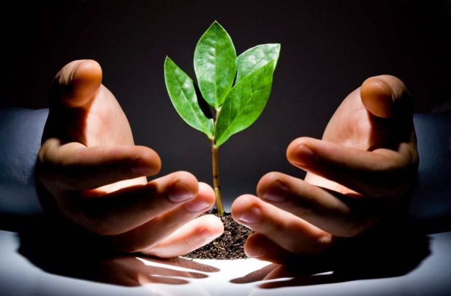 Monex Group вдохнула в биржу Coincheck новую жизнь Monex Group вдохнула в биржу Coincheck новую жизнь