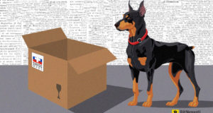 Американские чиновники закрывают российское скам-ICO