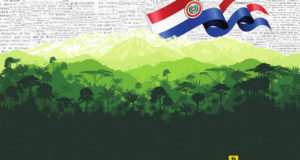 Стартап помогает спасать девственные леса Парагвая с помощью блокчейна