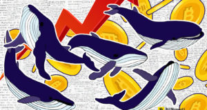Аналитики: Неактивные биткойн-киты возобновили деятельность - резкий ценовой скачок не за горами