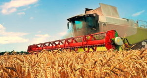 Блокчейн поможет сельскому хозяйству Казахстана