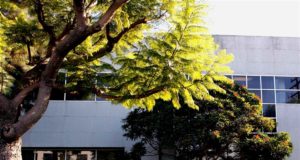 Bumble Bee Foods использует платформу SAP для отслеживания морепродуктов на блокчейне