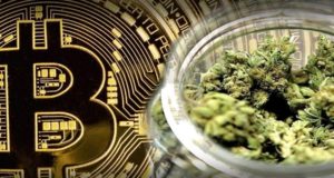 Налог на продажу марихуаны в Калифорнии можно будет заплатить криптовалютами