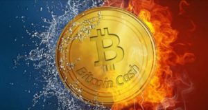 Войны форков: Биржа SBI прекращает торговлю Bitcoin Cash