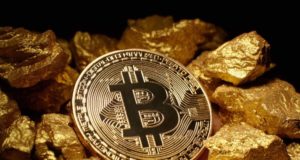 Майкл Новограц: «Мир изменит Web 3.0, а не биткойн»