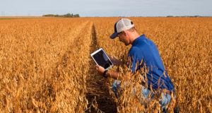 Исследование: к 2025 году 20% поставок продуктов питания переведут на блокчейн