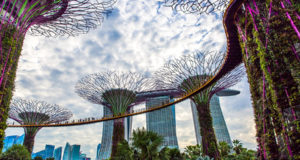 Сингапур отменит налог на товары и услуги для криптовалют