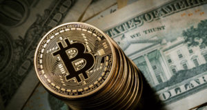 Исследование: более половины владельцев BTC в Европе не имеют высшего образования