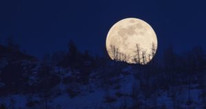 Далеко ли до Луны? Рациональные диапазоны роста биткойна