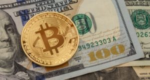 Исследование: в США количество владельцев криптовалют удвоилось в 2019 году