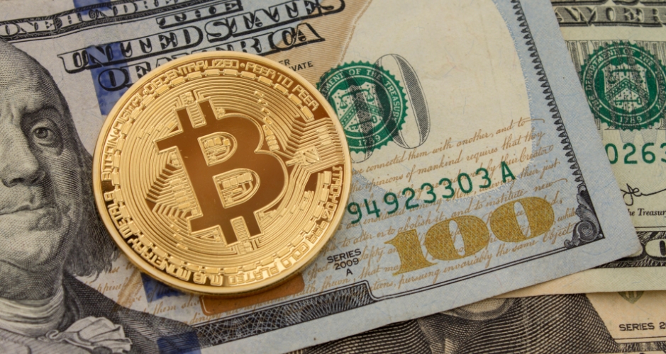 Исследование: в США количество владельцев криптовалют удвоилось в 2019 году Исследование: в США количество владельцев криптовалют удвоилось в 2019 году