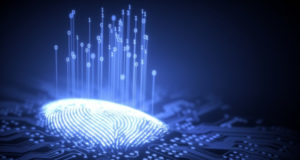 Бермудские острова разработают систему идентификации граждан на блокчейне