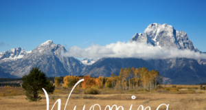 Штат Вайоминг представил правила хранения криптовалют для финансовых организаций