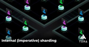 Реализация технологии Sharding от блокчейн платформы TERA