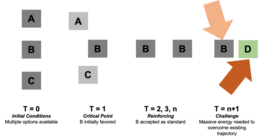 Initial conditions. Initial conditions
