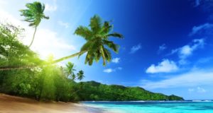 Государственная криптовалюта Маршалловых островов будет запущена на блокчейне Algorand