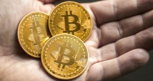 Статистика поисковых запросов: растет интерес к покупке биткойна, а не продаже