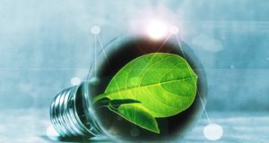 лампочка, растение, блокчейн, зеленая энергетика