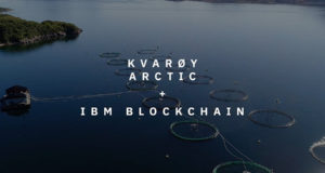 Kvarøy Arctic, IBM, море