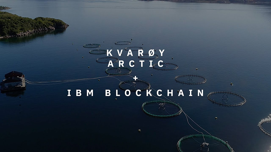 Kvarøy Arctic, IBM, море