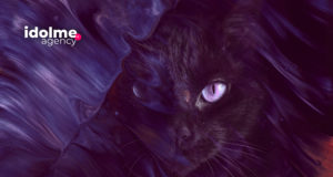 IdolMe