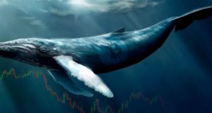 Кит, биткоин