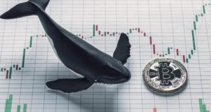 Биткойн-киты, биткоин, график