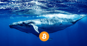 Биткоин кит