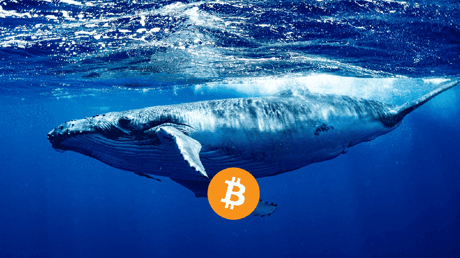 Биткоин кит