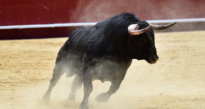 Инвестиционный кейс для биткойна от Энтони Помплиано