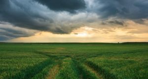 Опционы как хедж против рисков DeFi-рынков